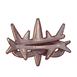 Crown of Thorns