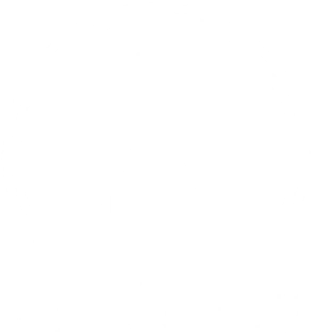 Humanitas division
