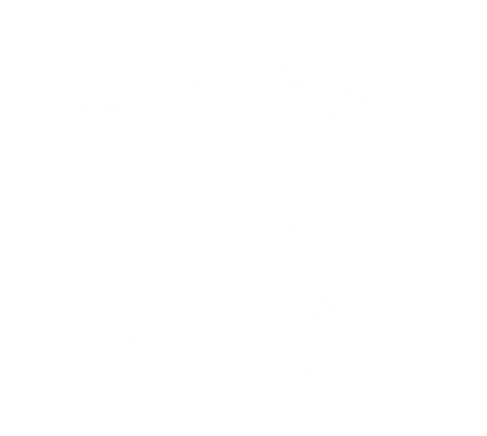 Celestial faction