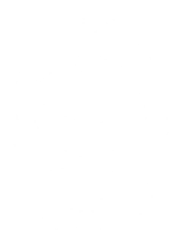 The Great Tofu Troupe faction
