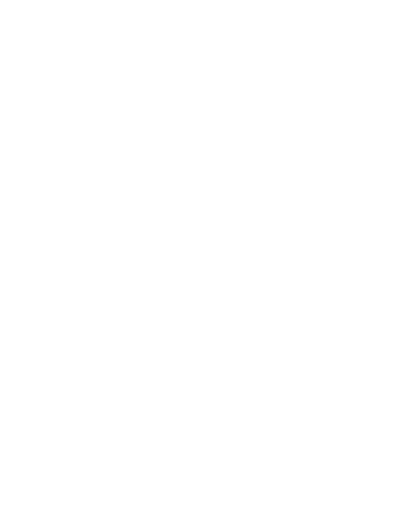 Saverim faction