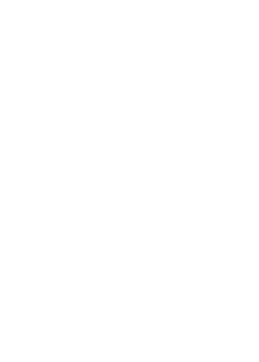 Super Rich faction