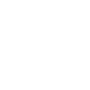 Star Anis