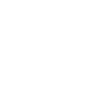 Memories of Blue Butterflies