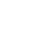 Lion's Heart
