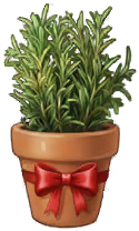pot pot mad gift