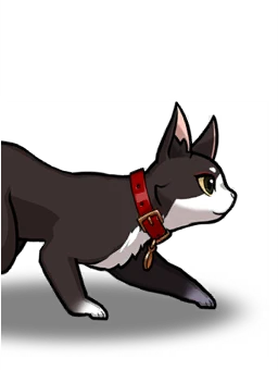 Neo