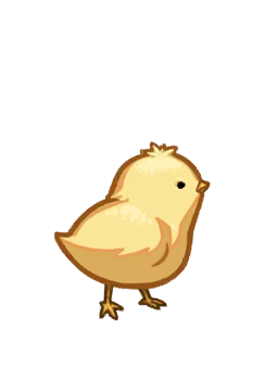 Chick
