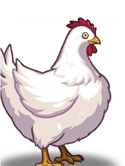 Hen