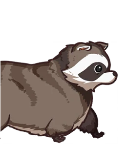 Raccoon
