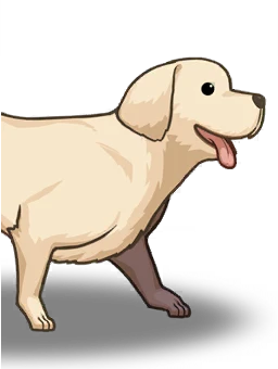 Retriever
