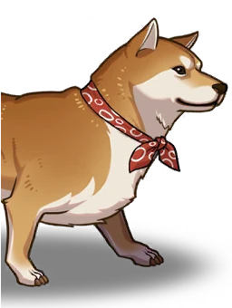 Shiba
