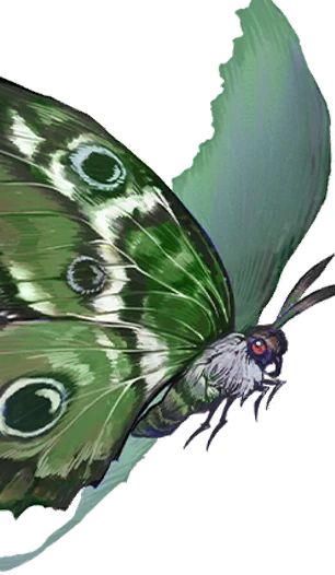 双目蝶