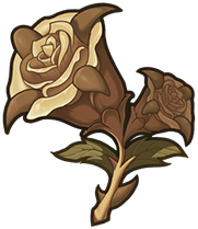 Copper Rose