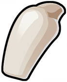 Enamel Fang