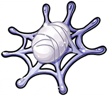Aqua Spider Web