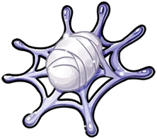 Aqua Spider Web