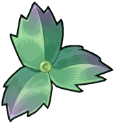 Rotting Petal
