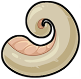 Detached Tail