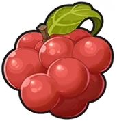 Plump Rounberry