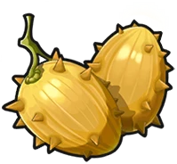 Prickle Pear