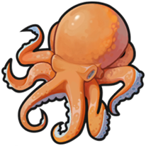 Octopus
