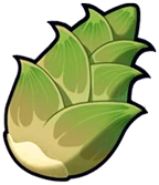 Bamboo Shoot