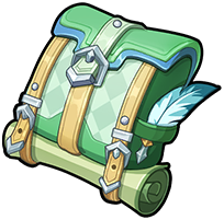 Travel Bag