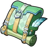 Travel Bag