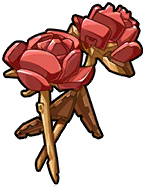 Timeless Rose